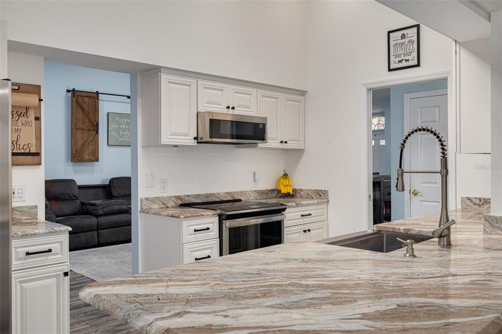 1055 BLYTH HILL Court, TRINITY, FL 34655 photo 3