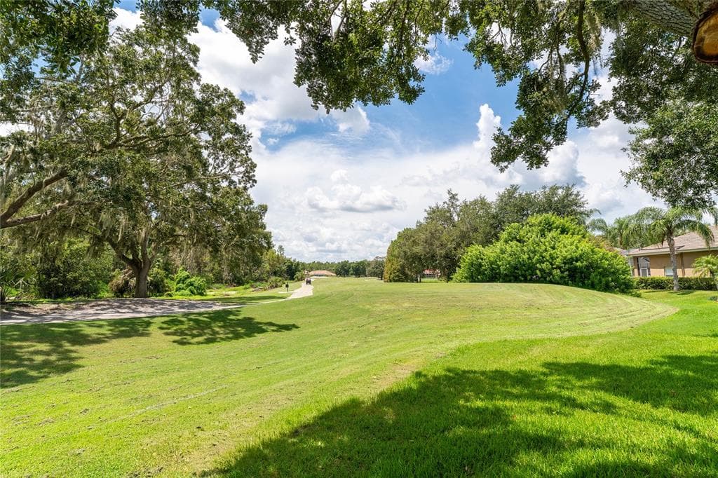 9117 WOODRIDGE RUN DRIVE, TAMPA, FL 33647 photo 2