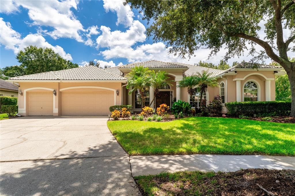 9117 WOODRIDGE RUN DRIVE, TAMPA, FL 33647 photo 3