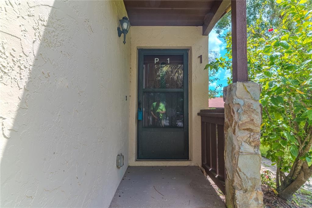 1200 TARPON WOODS Boulevard Unit P1, PALM HARBOR, FL 34685 photo 2