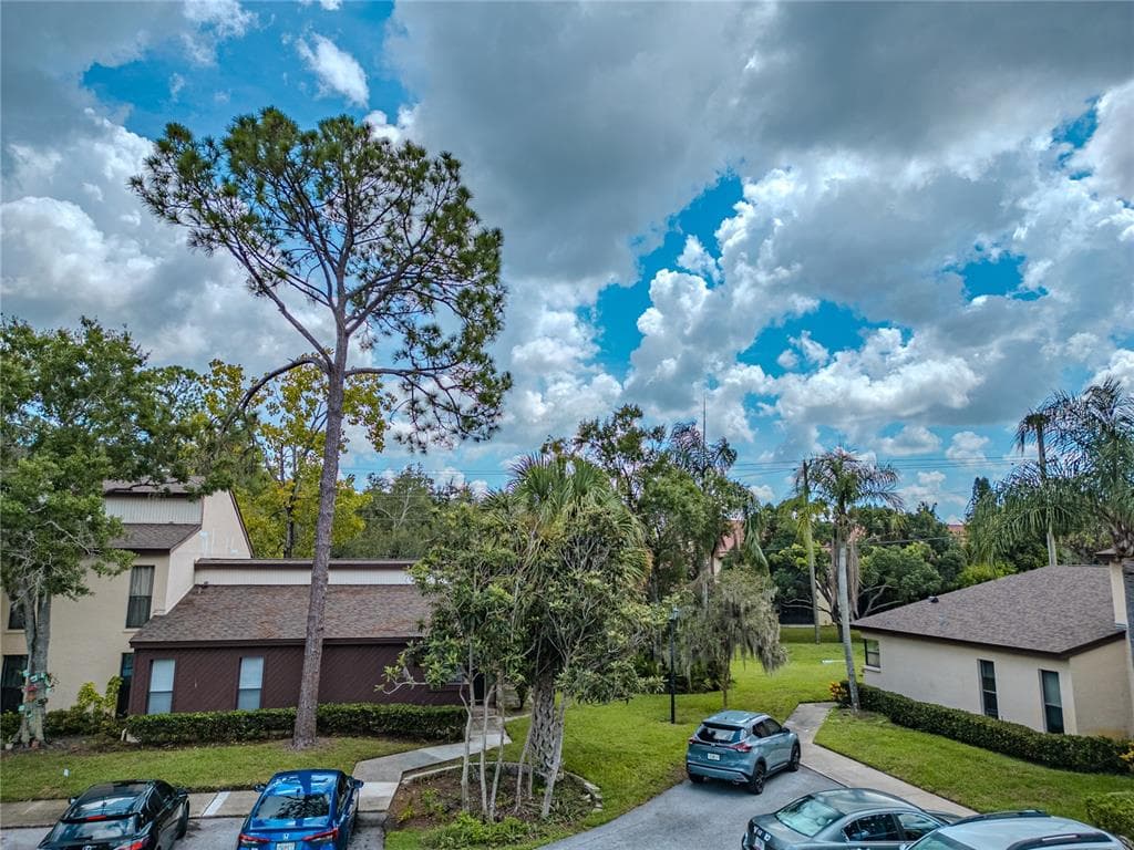 1200 TARPON WOODS Boulevard Unit P1, PALM HARBOR, FL 34685 photo 3