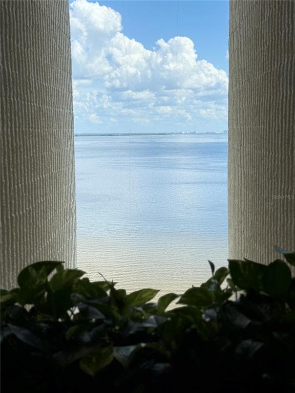 2413 BAYSHORE BOULEVARD Unit 1805, TAMPA, FL 33629 photo 4