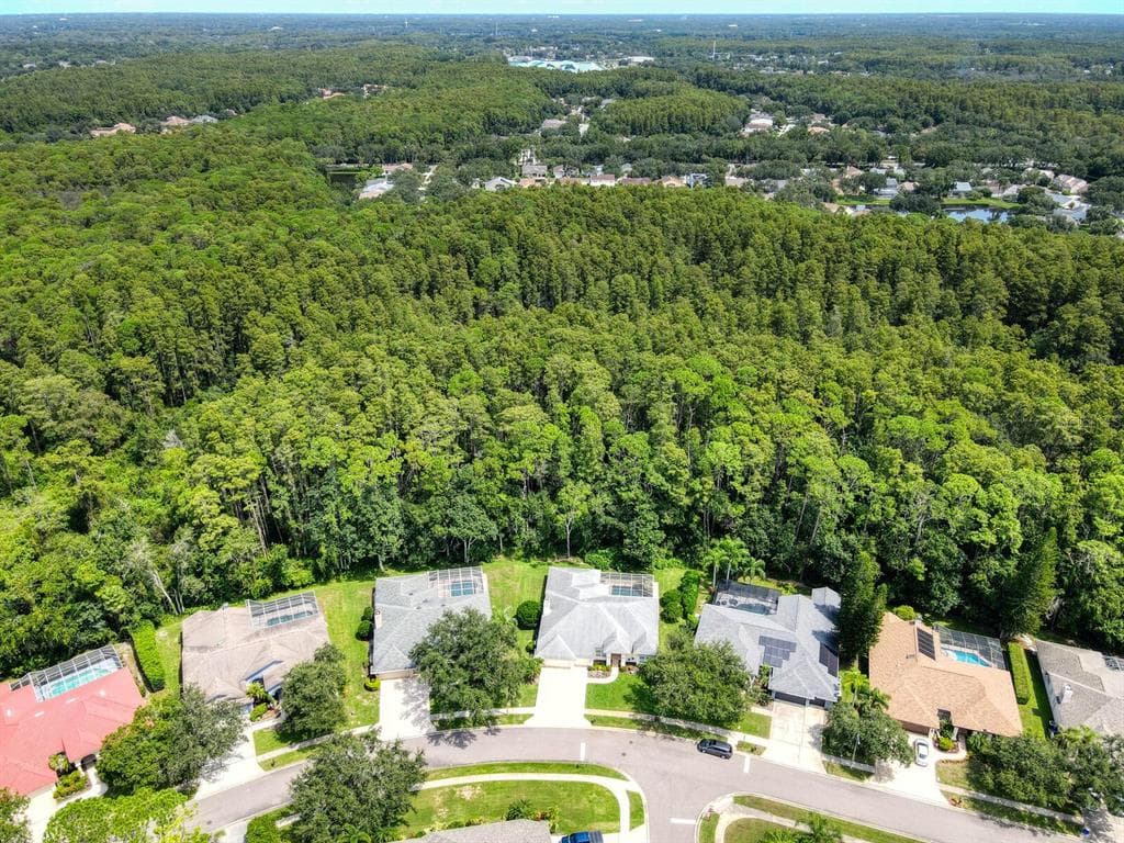 4125 KIRKALDY DRIVE, PALM HARBOR, FL 34685 photo 2