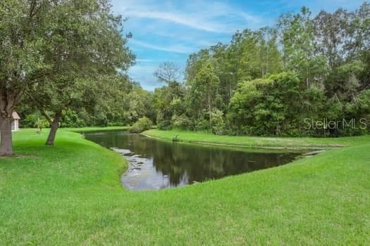 11506 DAMPIER COURT, NEW PORT RICHEY, FL 34654 photo 5