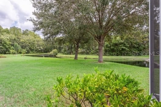 11506 DAMPIER COURT, NEW PORT RICHEY, FL 34654 photo 4