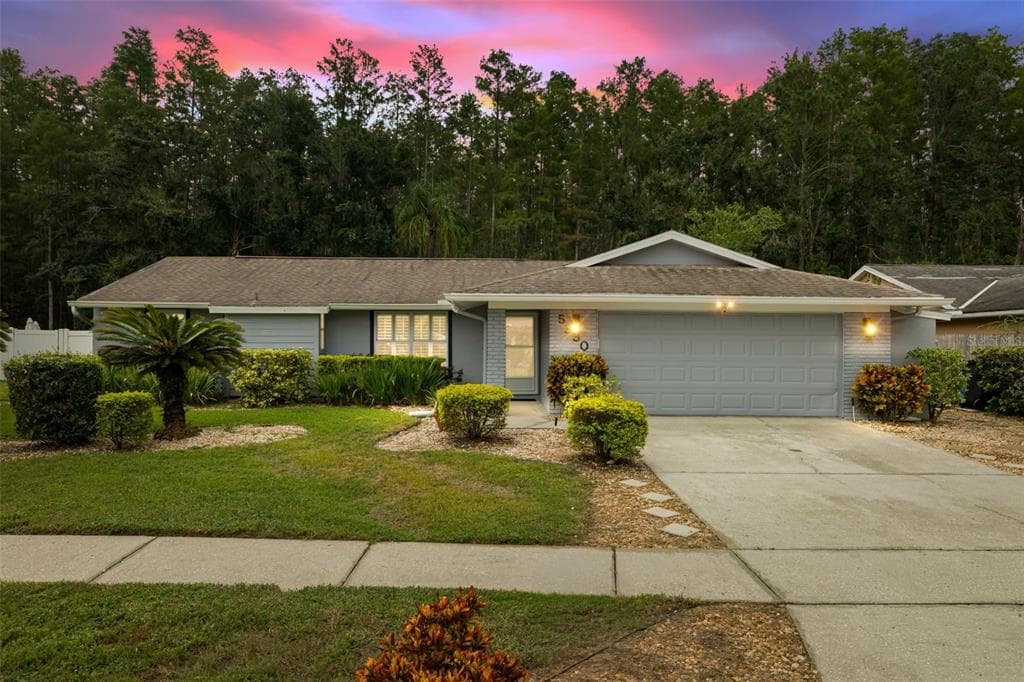 5330 BLACK PINE DRIVE, TAMPA, FL 33624 photo 2