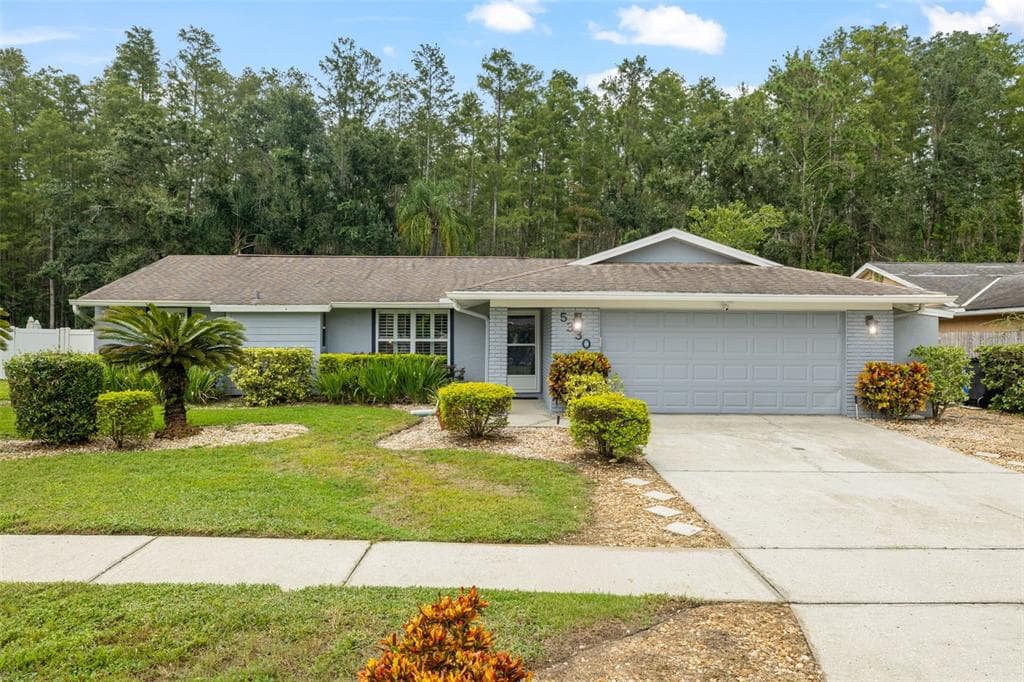 5330 BLACK PINE DRIVE, TAMPA, FL 33624