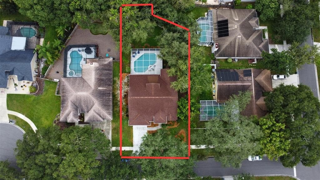 5308 WINDBRUSH DRIVE, TAMPA, FL 33625 photo 3