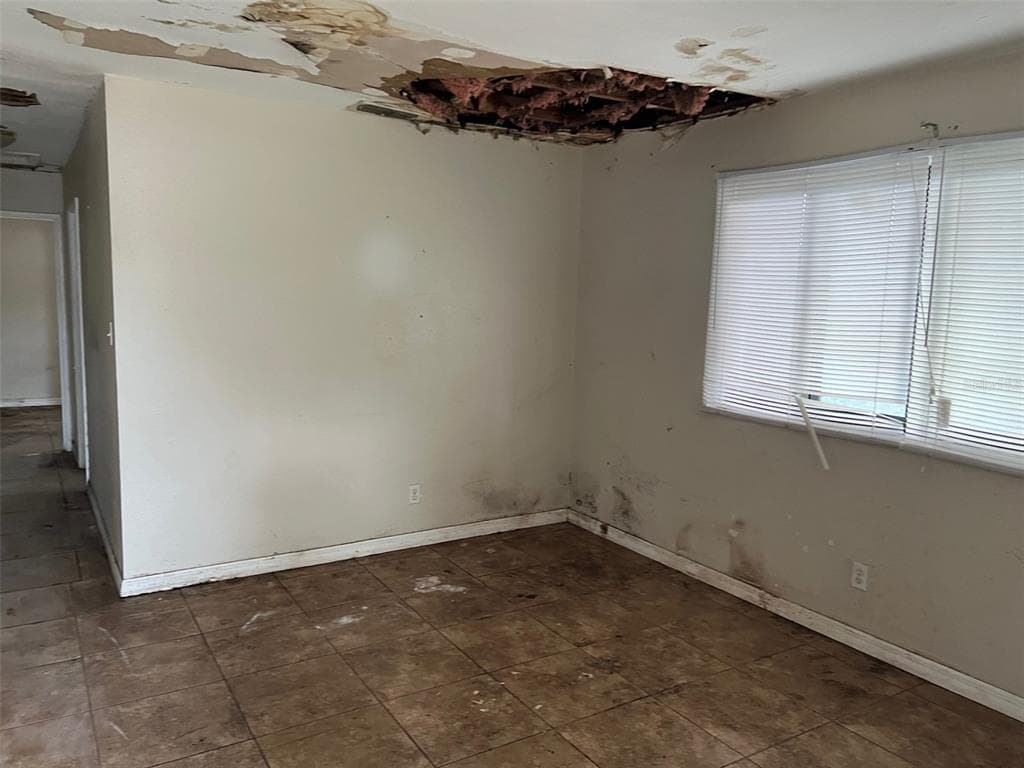 4421 LEILA Avenue, TAMPA, FL 33616 photo 4