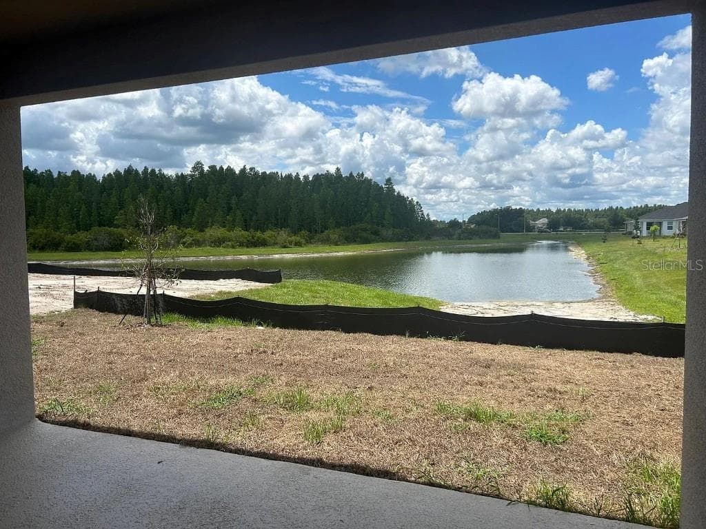 32226 ELDORADO CANYON LOOP, WESLEY CHAPEL, FL 33543 photo 4