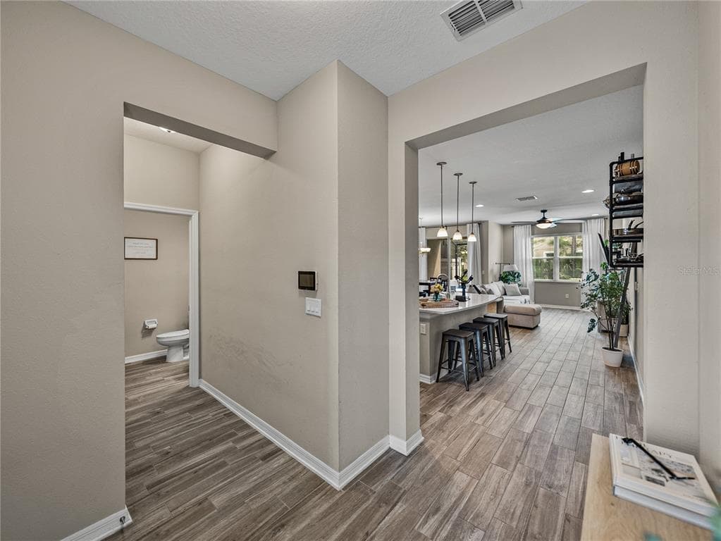 29934 SOUTHWELL LANE, WESLEY CHAPEL, FL 33543 photo 4