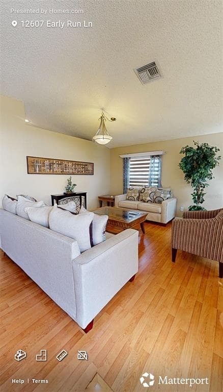 12607 EARLY RUN LANE, RIVERVIEW, FL 33578 photo 2