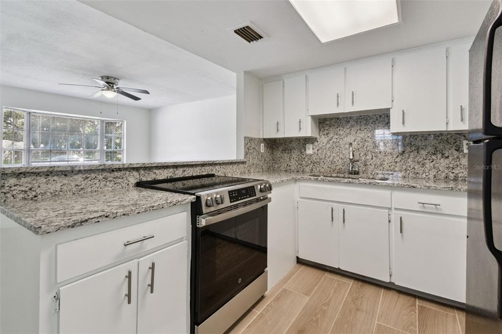 4117 SEWAHA Street, TAMPA, FL 33617 photo 4