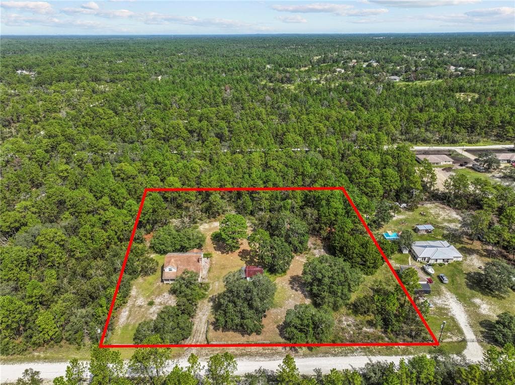 11419 RASCHKE RUN, WEEKI WACHEE, FL 34614 photo 3