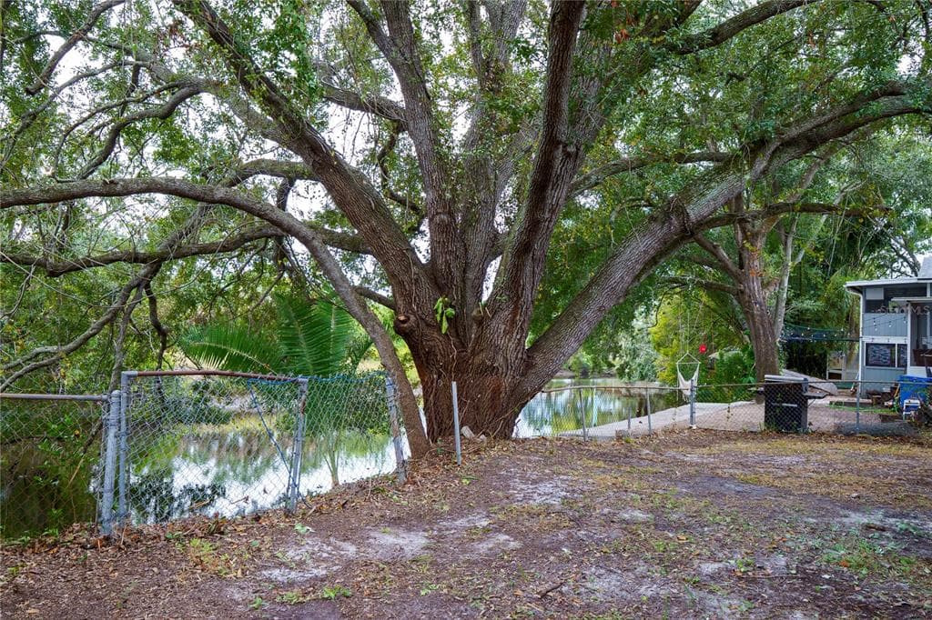 6715 RIVER ROAD, TAMPA, FL 33615 photo 5