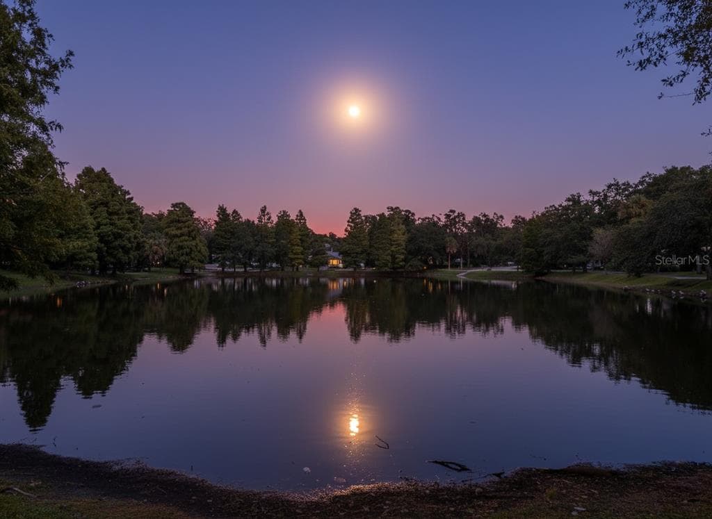 6013 ROBERTA CIRCLE, TAMPA, FL 33604 photo 3