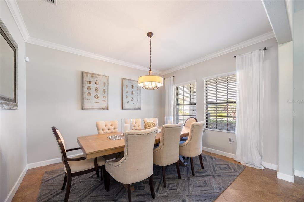 19421 PADDOCK VIEW DRIVE, TAMPA, FL, 33647 photo 5