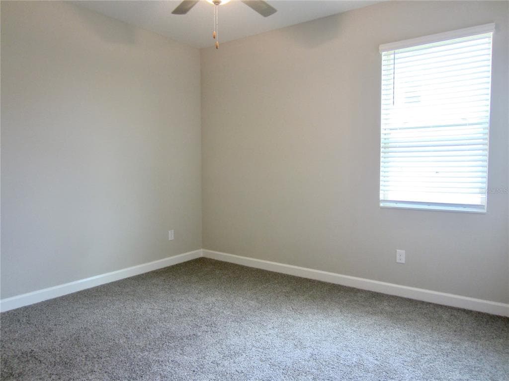 24815 LAMBRUSCO LOOP, LUTZ, FL 33559 photo 5