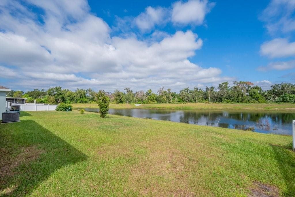 10218 CLOUDBURST COURT, RIVERVIEW, FL 33578 photo 3