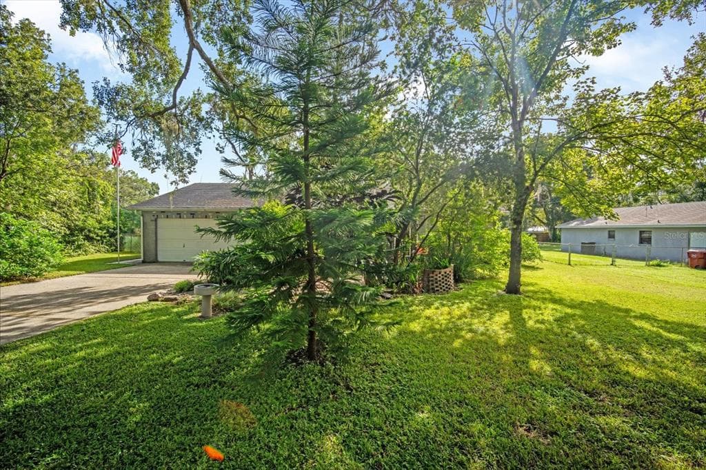 1602 WILLS STREET, PLANT CITY, FL 33563 photo 4