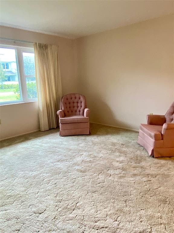 1522 NURSERY ROAD, CLEARWATER, FL 33756 photo 5