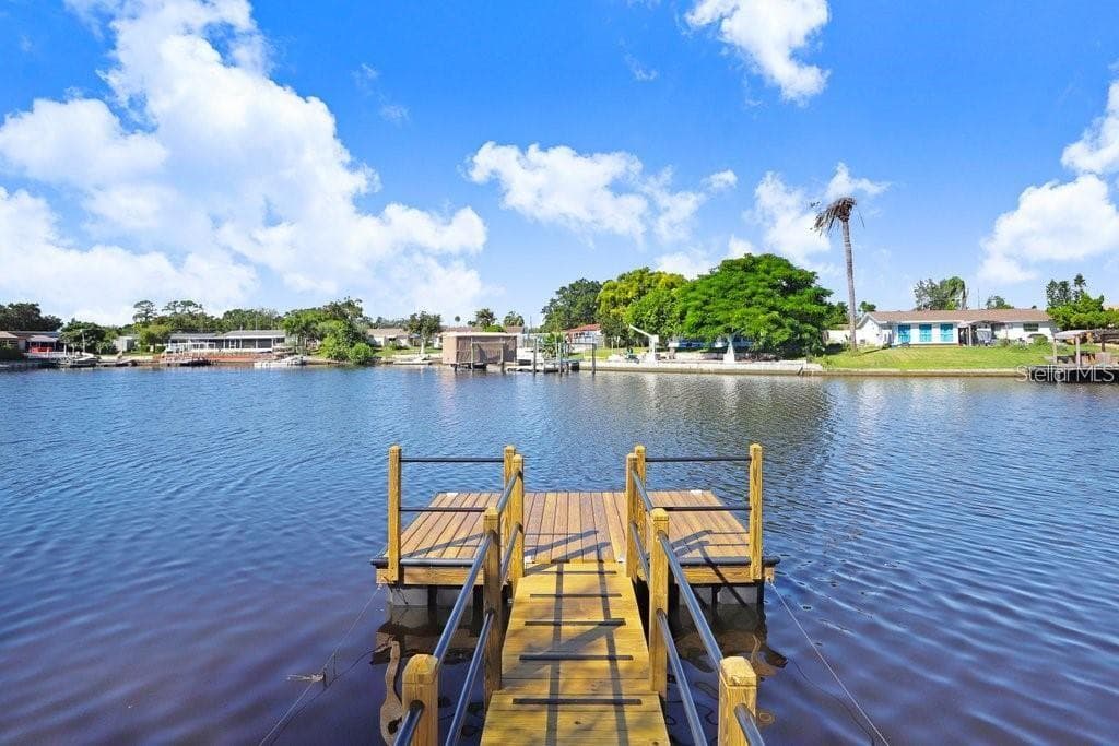 1305 BASSWOOD DRIVE, HOLIDAY, FL 34690 photo 3