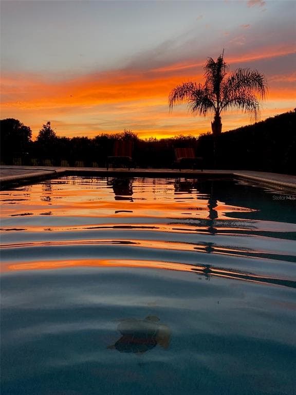 5709 WHITE TRILLIUM LOOP, LAND O LAKES, FL 34639 photo 3