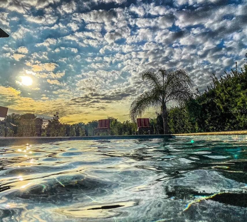 5709 WHITE TRILLIUM LOOP, LAND O LAKES, FL 34639 photo 5