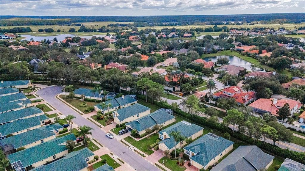 10316 SORENSTAM DRIVE, TRINITY, FL 34655 photo 2