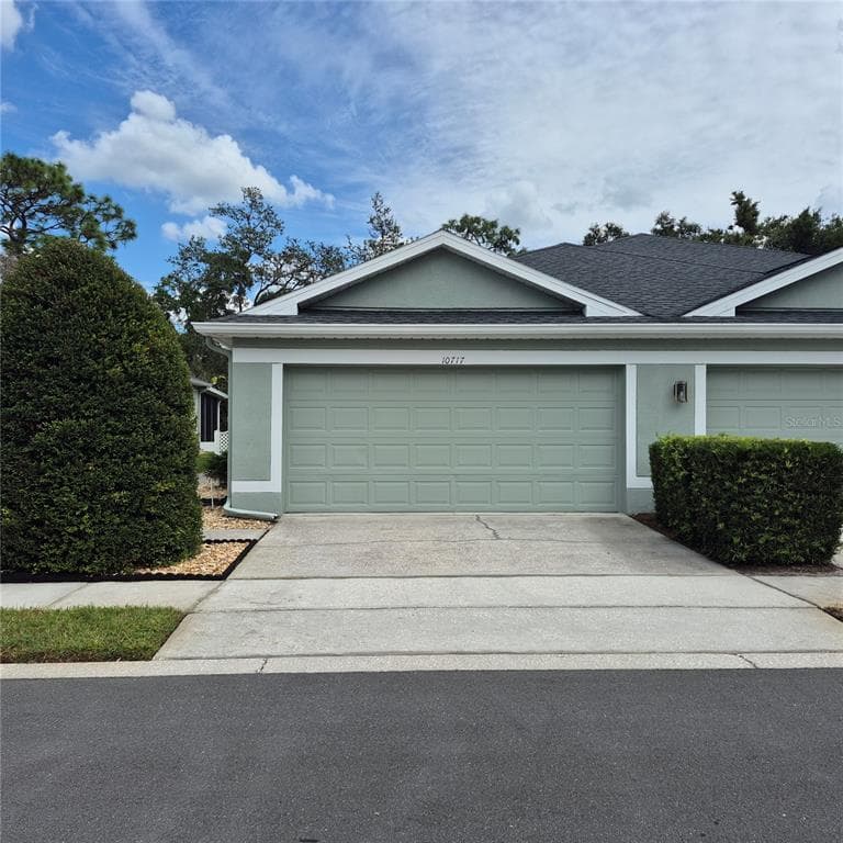 10717 ASHFORD OAKS Drive, TAMPA, FL 33625