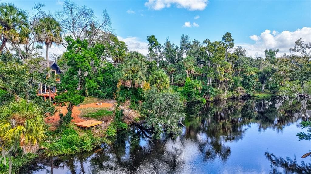 4234 ALAFIA BOULEVARD, BRANDON, FL 33511 photo 5