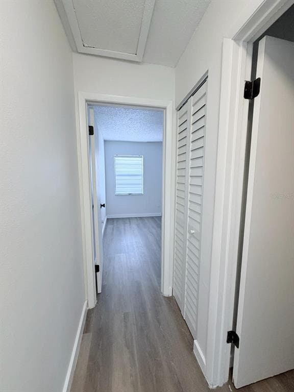 12329 WITHERIDGE Drive, TAMPA, FL 33624 photo 5