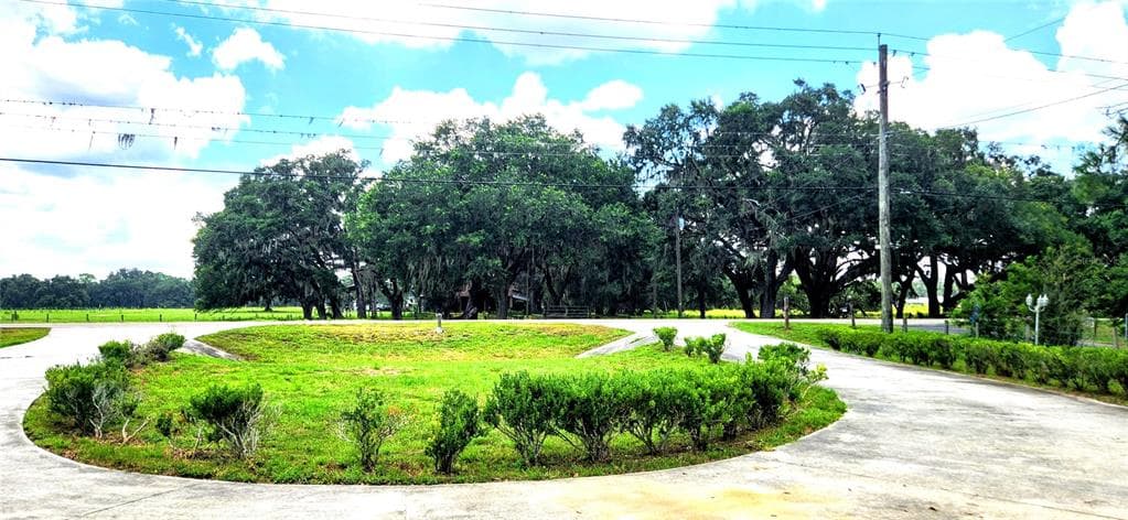 1205 KNIGHTS GRIFFIN ROAD, PLANT CITY, FL 33565 photo 2