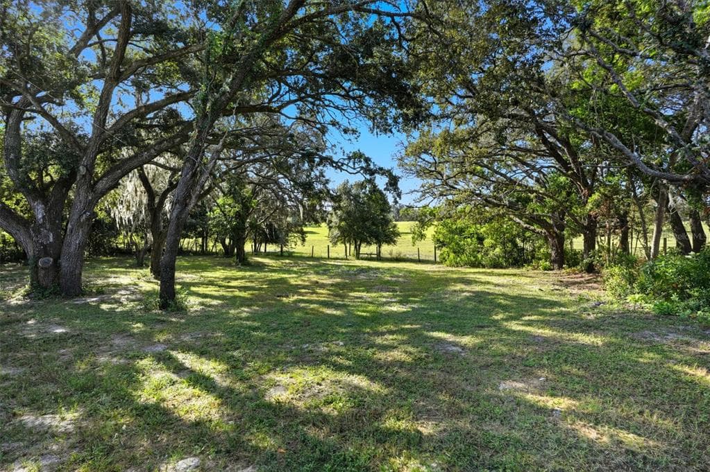 15616 LARRY ROAD, SPRING HILL, FL 34610 photo 5