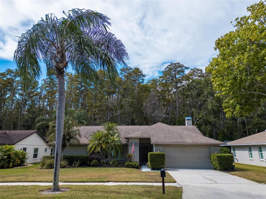 3238 GLENRIDGE DRIVE, PALM HARBOR, FL 34685 photo 3
