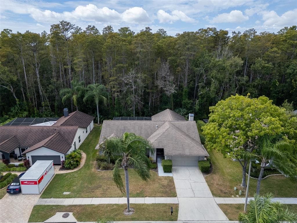 3238 GLENRIDGE DRIVE, PALM HARBOR, FL 34685 photo 5