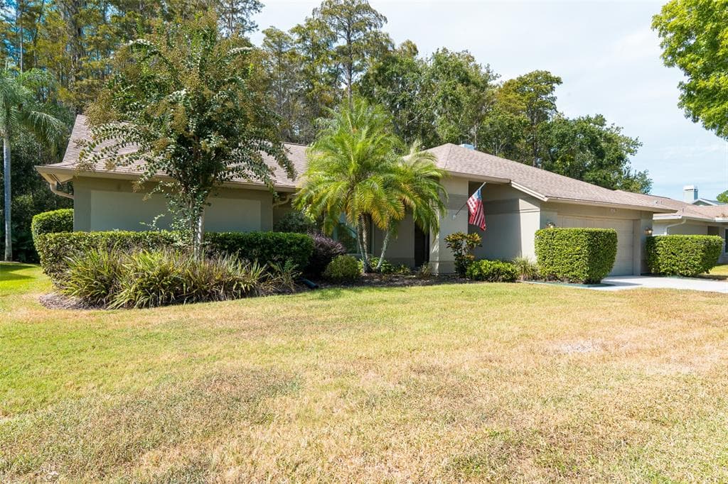 3238 GLENRIDGE DRIVE, PALM HARBOR, FL 34685 photo 4