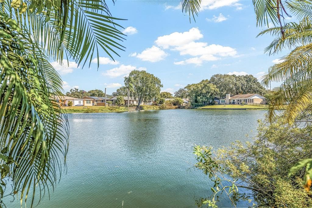 7807 SUMMERTREE LANE, NEW PORT RICHEY, FL 34653 photo 2