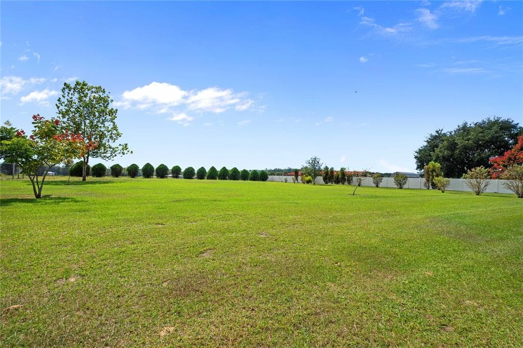 10314 LAMSON ROAD, DADE CITY, FL 33525 photo 2