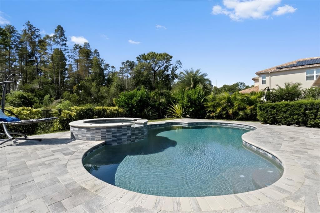 30362 CEASAR PARK DRIVE, WESLEY CHAPEL, FL 33543 photo 2