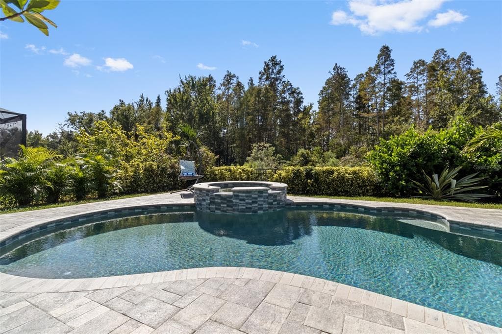 30362 CEASAR PARK DRIVE, WESLEY CHAPEL, FL 33543 photo 3