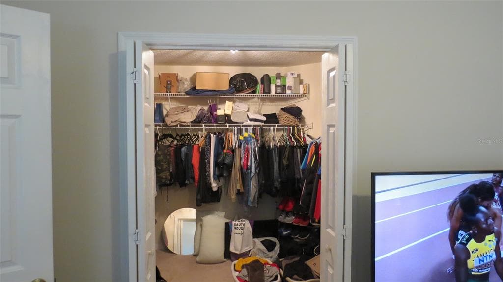 3805 SCOVILL LANE, VALRICO, FL 33596 photo 5