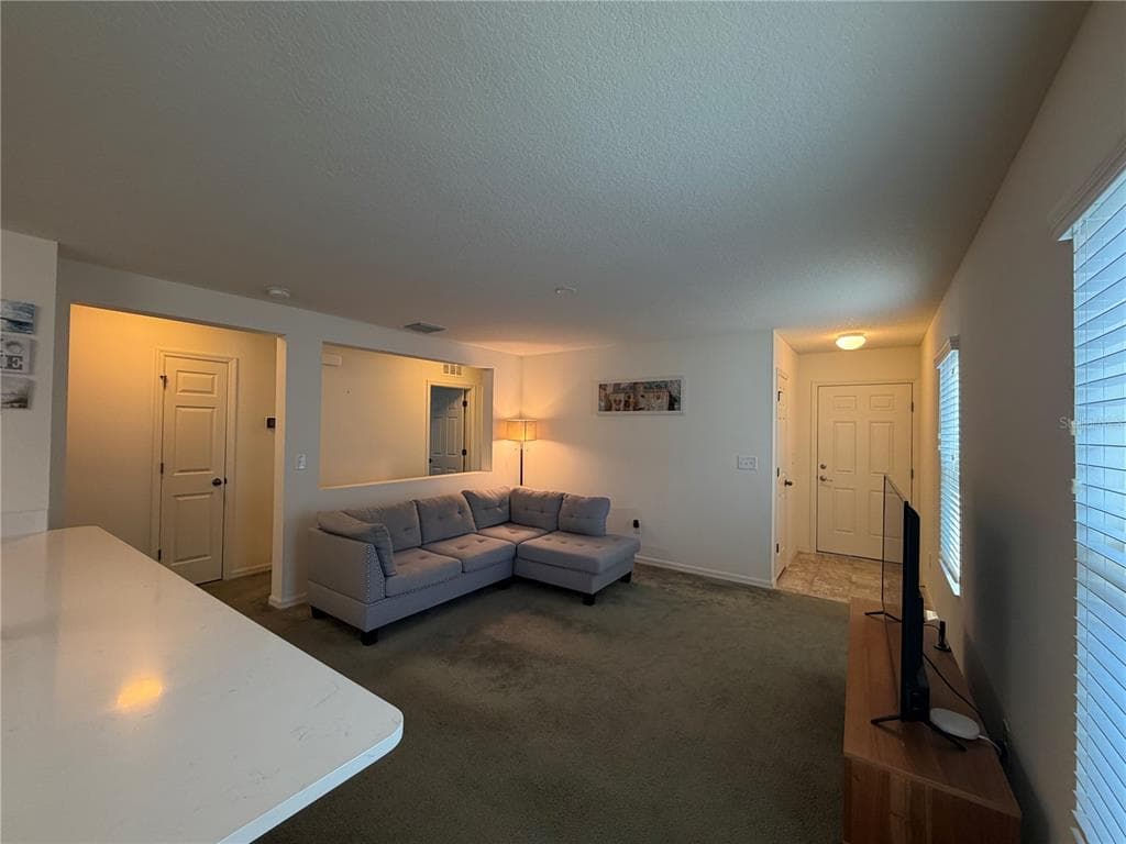 11207 CARDINAL POINT PLACE, GIBSONTON, FL 33534 photo 5