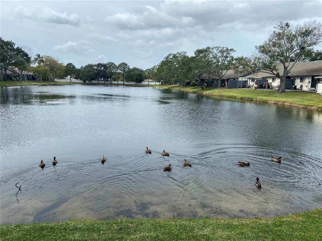 3888 EL CAMINO COURT, LARGO, FL 33771 photo 2