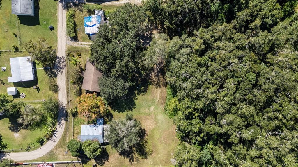 15217 MYRTLE STREET, DADE CITY, FL 33523 photo 3