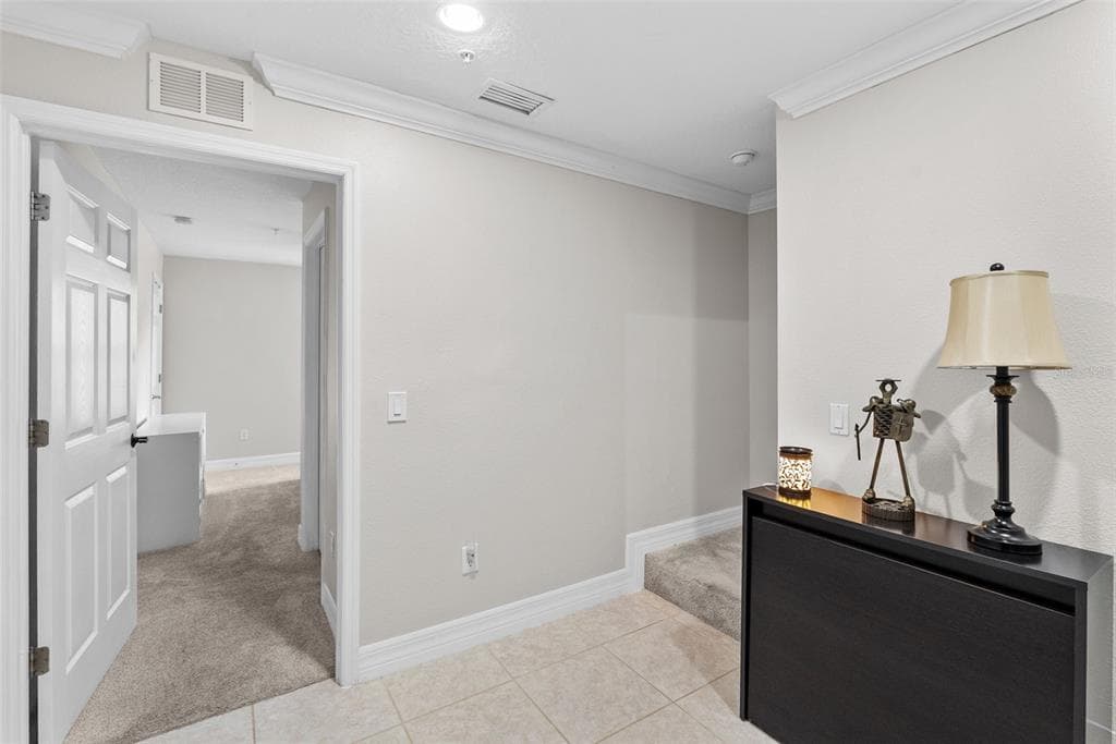 4508 BAY SPRING COURT, TAMPA, FL 33611 photo 5