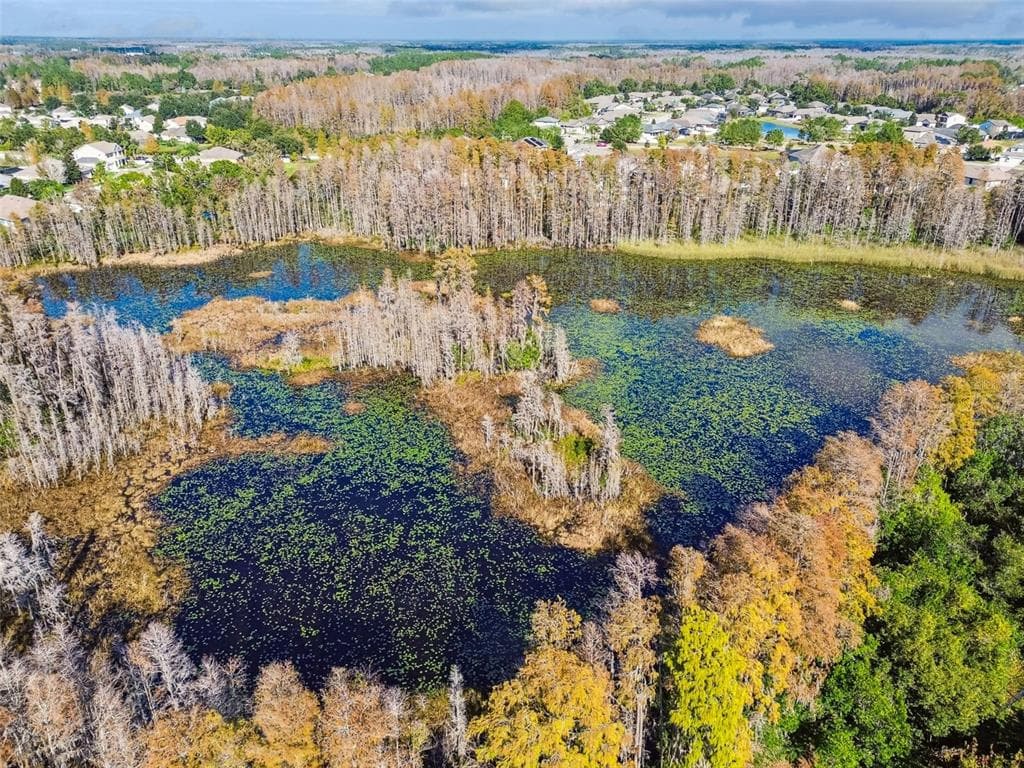 19411 RANCHVIEW COURT, LAND O LAKES, FL 34638 photo 3