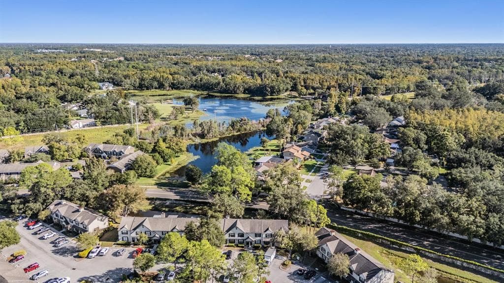 16553 BRIGADOON Drive, TAMPA, FL 33618 photo 4