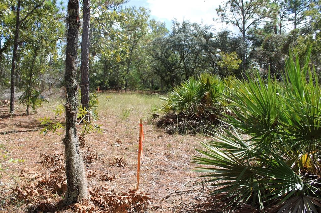 5784 DURANGO TERRACE, BEVERLY HILLS, FL 34465 photo 4