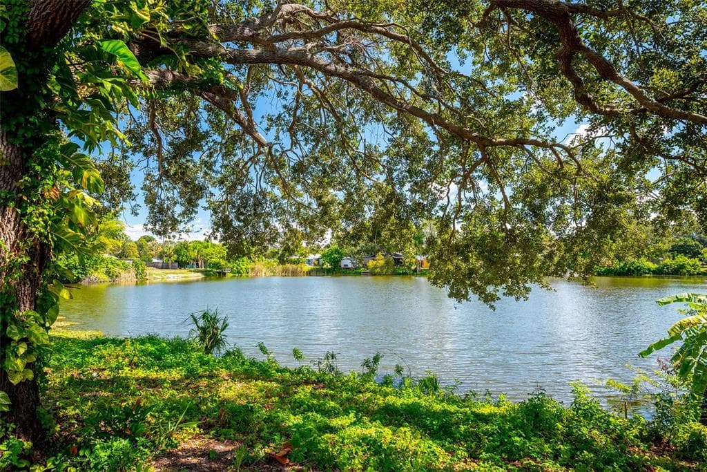 9049 ORCHID Drive, SEMINOLE, FL 33777 photo 2